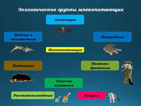 Экологические группы млекопитающих ℹ️ характеристика наземных или