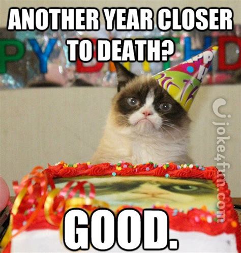 Joke4fun Memes Grumpy Cat Wishes You Happy Birthday