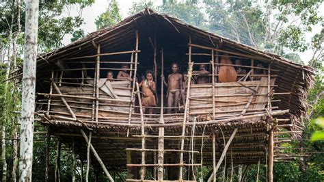 Suku Korowai Suku Nomaden Pedalaman Papua Yang Hidup Dari Pohon Ke Pohon