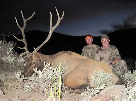 Fully Guided Colorado Elk Hunts On Private Land Archery Or Firearms