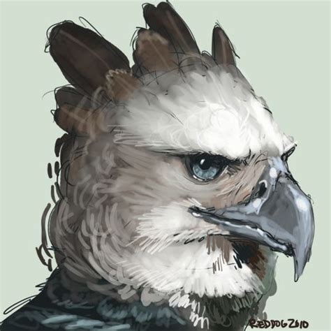 By Wylieblais On Deviantart In 2020 Eagle Drawing Creature Art