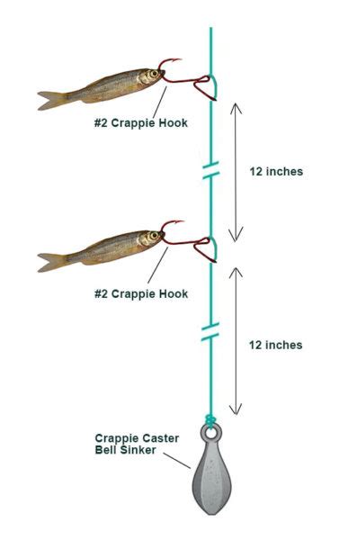 Crappie Minnow Rig For Fishing Black And White Crappie