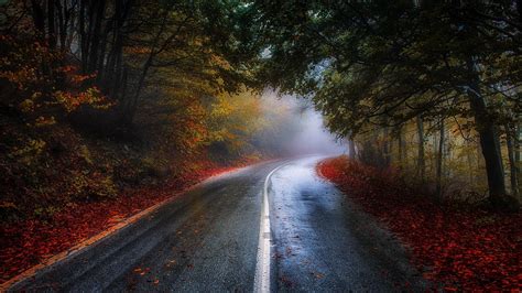 Nature Photography Landscape Road Forest Mist Morning Sunlight Trees Fall Leaves Red Blue Shrubs