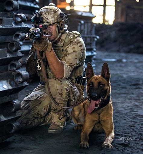 Military Dogs Military Working Dogs Dog Soldiers