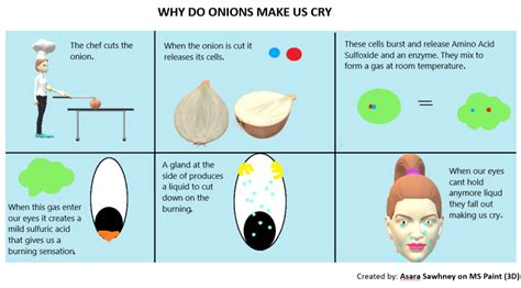 Why Do Onions Make Us Cry I Kid You Not