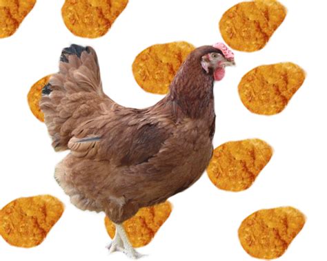 I ate 84 chicken nuggets and a quart of polynesian sauce. Animated Chicken Nugget Gif