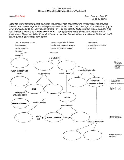Ice Bp Concept Map Nervous System Worksheet F In Class Exercise