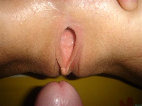 Pussy Close Up Sex Penetration