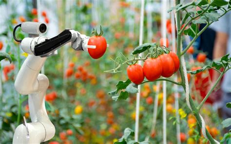 Los Robots En La Agricultura Elaisian