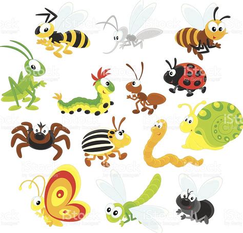 Colorful Cartoon Illustration Of Different Insects Royalty Free Stock
