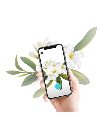 Just take a photo, tap identify and instantly you will get the detailed information about it. Plant Identification App #1 - Plantyx.app
