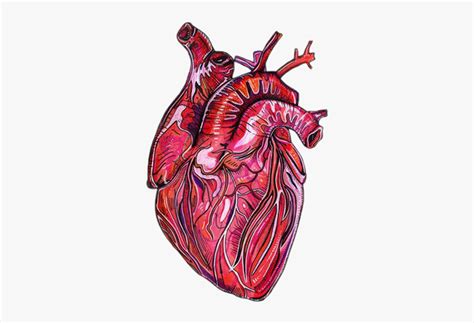 We regularly add new gif animations about and. Real Heart Tumblr Png , Free Transparent Clipart - ClipartKey