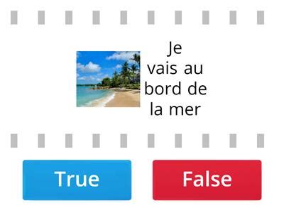 French Les Vacances Teaching Resources