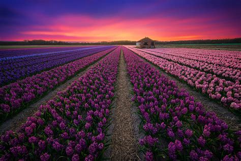 The Beauty Of Colorful Landscape Photography 99inspiration