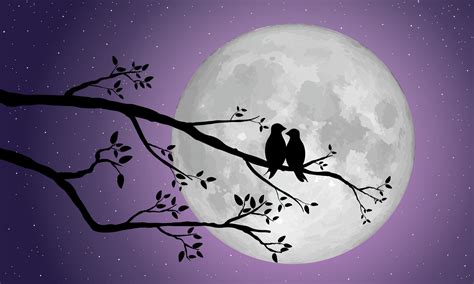 Silhouette Of Loving Birds Perched On A Branch Of A Tree Over The Full