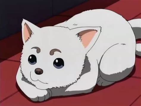 10 Most Awesome Dogs In Anime Top Dog Tips