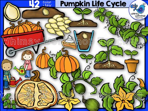 Life Cycle Pumpkin Whimsy Workshop Teaching