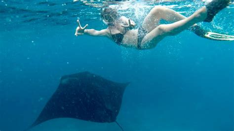Snorkelling With Manta Rays In Nusa Penida Docs In The Wild