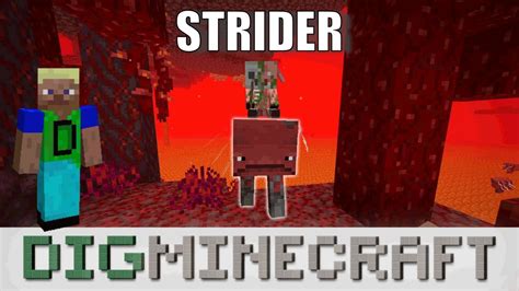 Strider In Minecraft Nether Update YouTube