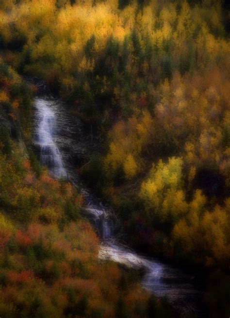 Autumn Forest Falls Photograph By Ellen Heaverlo Fine Art America