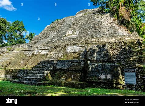 Lamanai Archaeological Reserve Mayan Ruins High Temple Belize Jungle