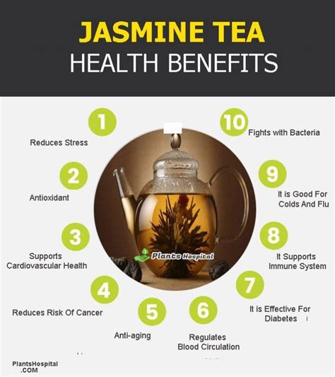 14 Wonderful Health Benefits Of Jasmine Tea Recipe Uses And More