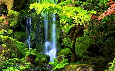 Forest Waterfall Hd Wallpaper Background Image 2043x1271 Id819689 Wallpaper Abyss