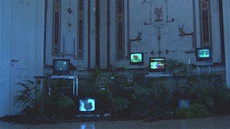 Tv On Green Leafed Plant Hd Vaporwave Wallpapers Hd Wallpapers Id