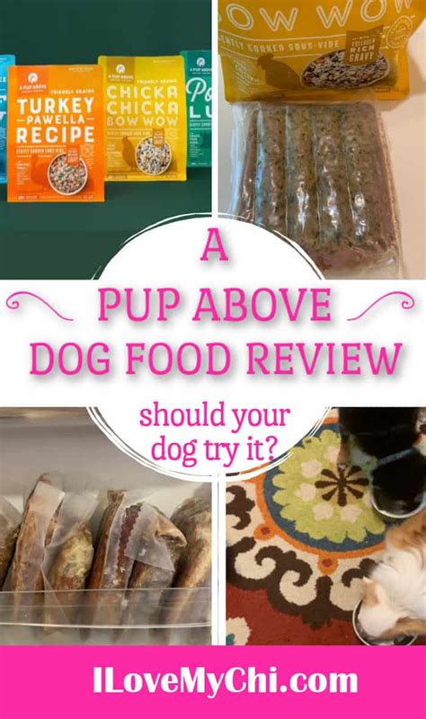 A Pup Above Dog Food Review I Love My Chi