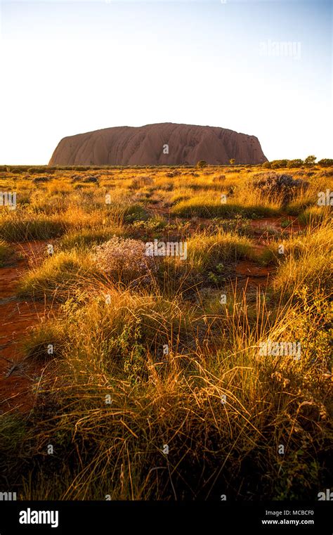 Australia Picture Of Uluruayers Rock In The Uluru Kata Tjuta National