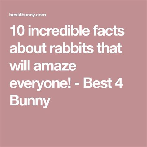 10 Incredible Facts About Rabbits That Will Amaze Everyone Best 4