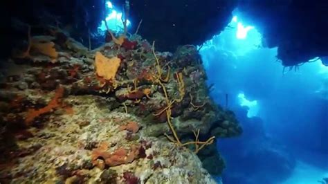 Best Scuba Diving In The World Cozumel Mexico Palancar Caves Wall