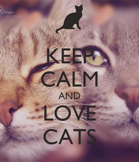 Keep Calm And Love Cats Poster Viv Keep Calm O Matic