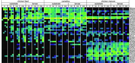 Heat Map Of The Most Abundant Bacterial Genera Over Time Only Genera Download Scientific