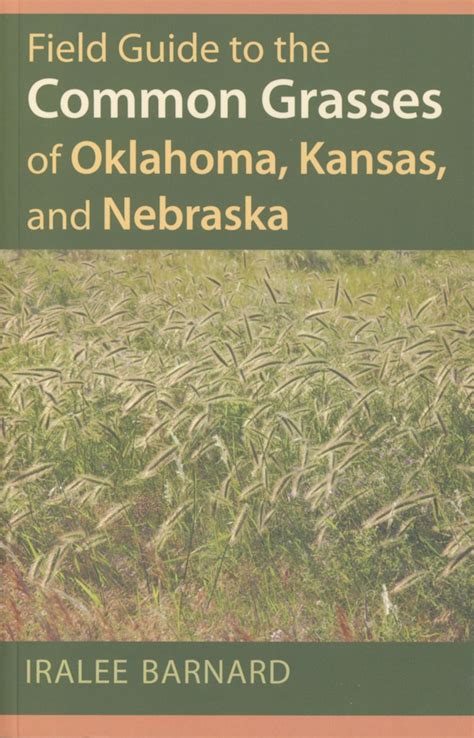 Field Guide To The Common Grasses Of Oklahoma Kansas And Nebraska