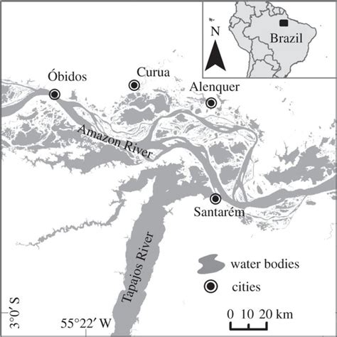 River Floodplains Of The Lower Amazon Mainstem Near The Municipalities