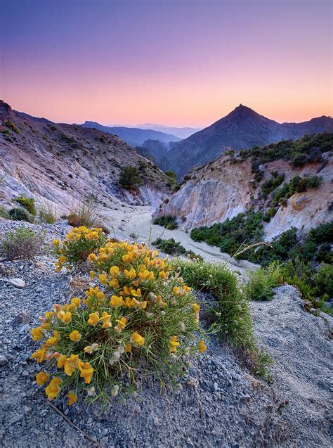 Spring Flowers Piornos River Dilar Valley Sunset At The Mountains