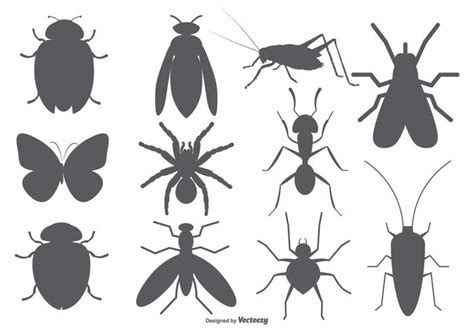 Insect Vector Shapes 117366 Vector Art At Vecteezy