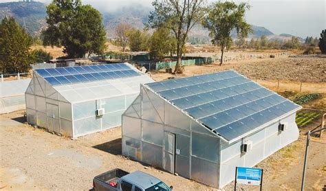 Paneles Fotovoltaicos Semitransparentes Instalados En Un Invernadero