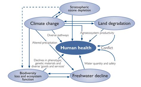 Global Climate Change And Health The Right To Health In A Climate