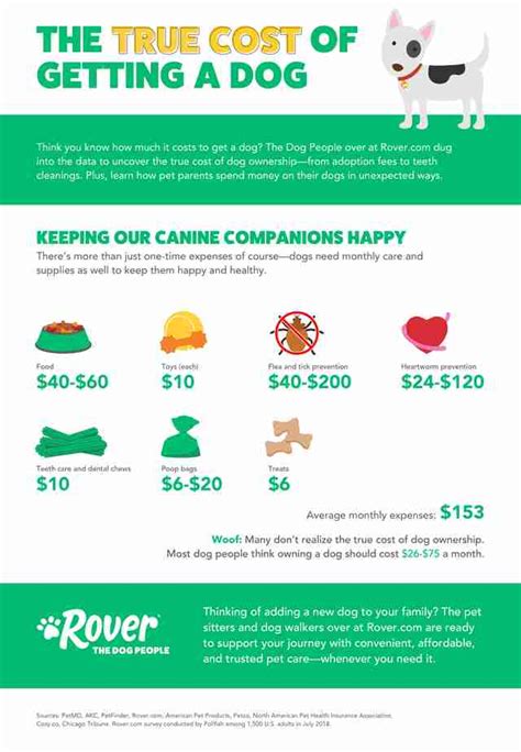 How Much Does Owning A Dog Cost Average Expense For Dog Owners Thrillist