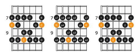 C Major Scale On Guitar Positions And Theory