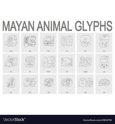 Mayan Animal Glyphs Royalty Free Vector Image Vectorstock