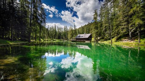 Forest House Around Green Trees With Reflection In Lake Under Cloudy
