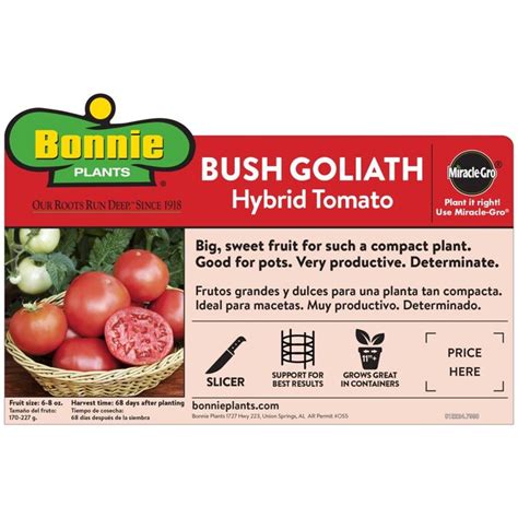 Bonnie Plants 193 Oz In Pot Bush Goliath Tomato Plant In The Vegetable