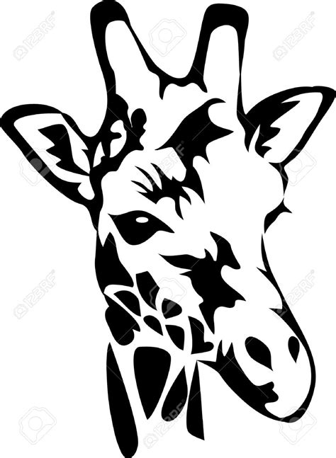 Giraffe Black And White Free Download On Clipartmag