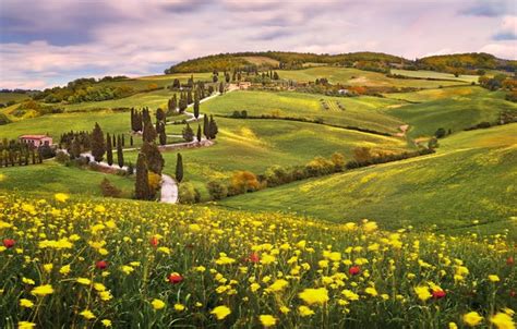 Wallpaper Road Summer Flowers Mountains Hills Field Italy Houses