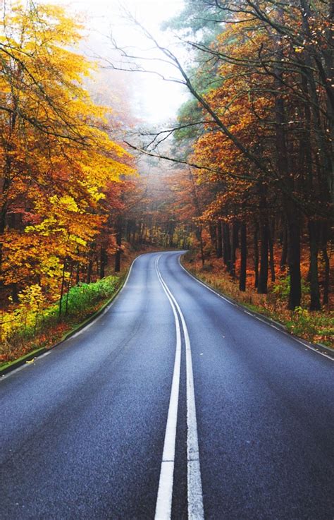 A Long Winding Road Autumn Photography Travel Photography Amazing