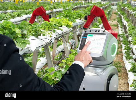 La Agricultura Inteligente Vertical Farm Sensor Technology Concepto