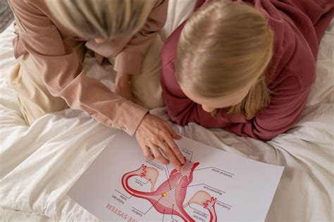 Mengenal Organ Reproduksi Pria Kantin Kesehatan Hot Sex Picture